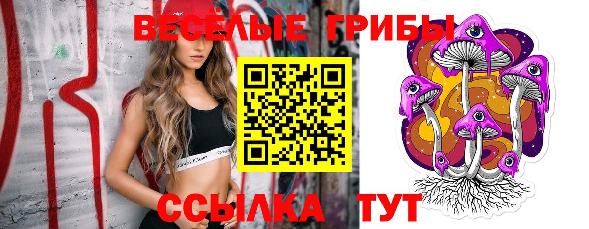 где купить наркоту  Галлюциногенные грибы мицелий  Вход с VPN  Лесосибирск 