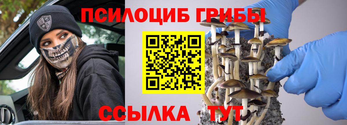 Псилоцибиновые грибы Cubensis Лесосибирск